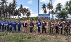 LANAL GORONTALO PANEN RAYA JAGUNG PERDANA, DUKUNG KETAHANAN PANGAN NASIONAL